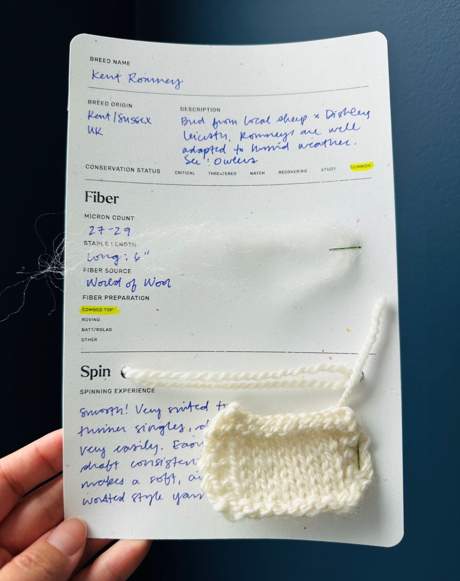 Kent Romney study, including history, info, fiber, yarn, and a knit sample