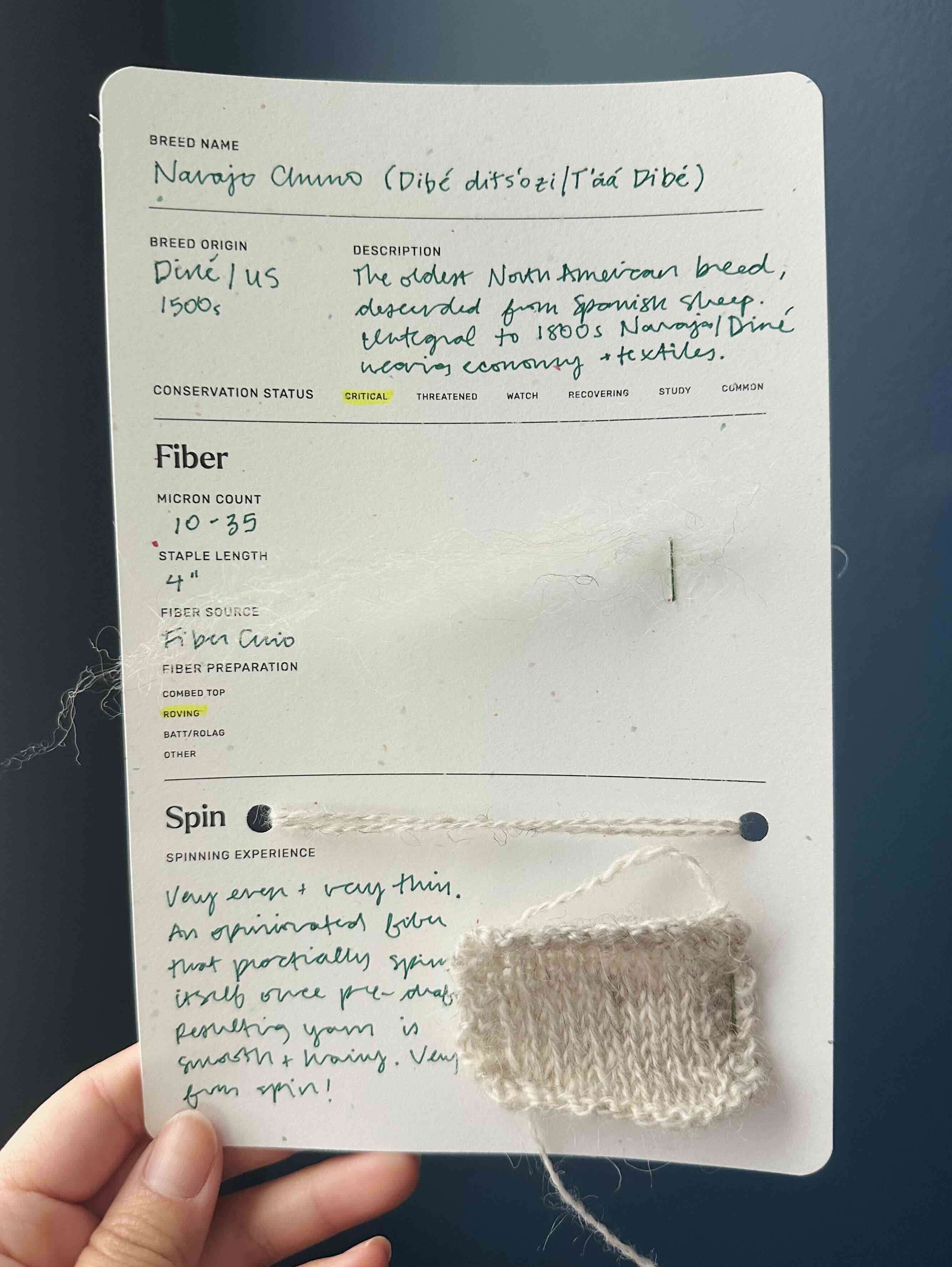 Card for the Navajo Churro breed study.