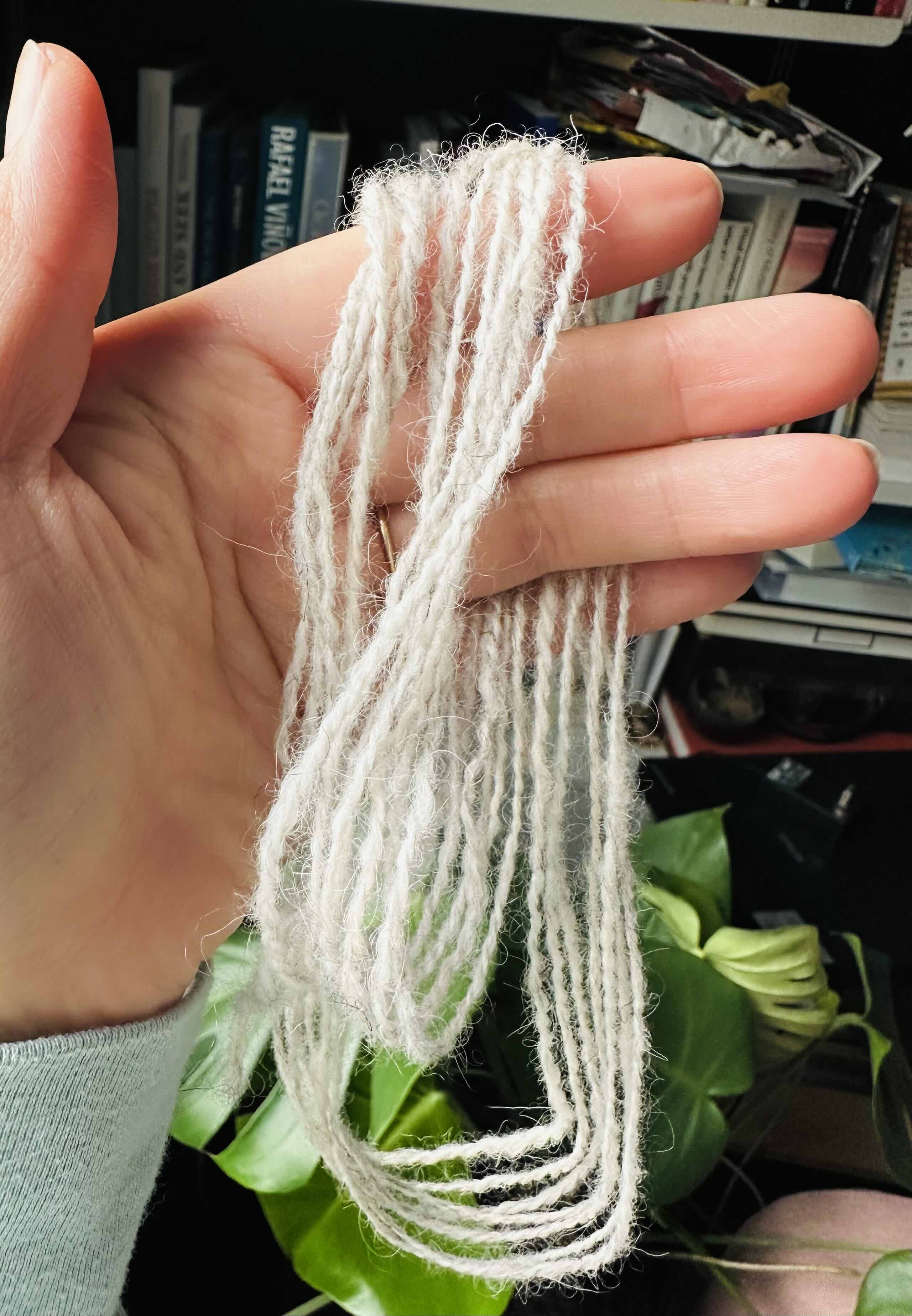 Closely examining and spinning the wool of, like, twenty breeds of sheep.
